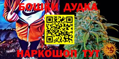 ГАЛЛЮЦИНОГЕННЫЕ ГРИБЫ Иваново