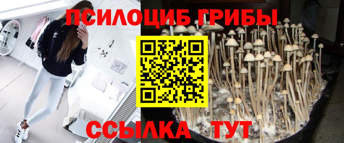 наркотики  Галлюциногенные грибы GOLDEN TEACHER  Вход с VPN  Киров 